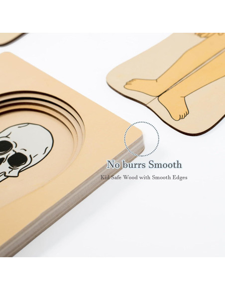 Rompecabezas de Anatomía Humana de Madera 5 Capas - Yunhe Rompecabezas de Anatomía Humana de Madera 5 Capas - Yunhe