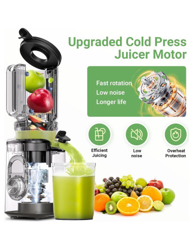 Exprimidor de Prensa en Frío AAOBOSI 150W 1.27kg Fácil Limpieza