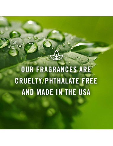 Aceite de Fragancia P&J Trading Arándano 10ml 2pk - Aromas para Velas y Jabón