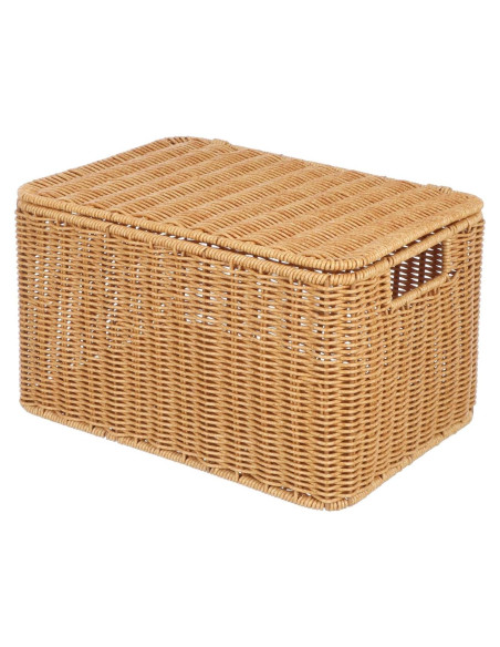 Cesta de Almacenamiento Rectangular Alipis 32x23x20cm con Tapa Cesta de Almacenamiento Rectangular Alipis 32x23x20cm con Tapa