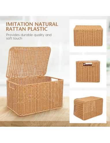 Cesta de Almacenamiento Rectangular Alipis 32x23x20cm con Tapa