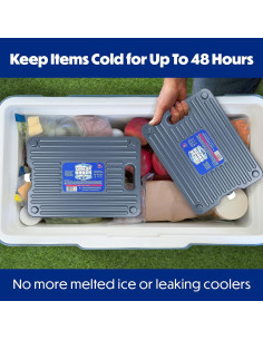 Paquete de Hielo Reutilizable Cooler Shock - Set de 2 Gris 2
