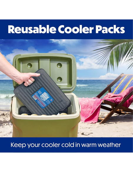 Paquete de Hielo Reutilizable Cooler Shock - Set de 2 Gris Paquete de Hielo Reutilizable Cooler Shock - Set de 2 Gris