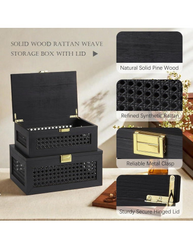 Cajas de Almacenamiento VinneGenzz de Ratan y Madera - 2 Piezas