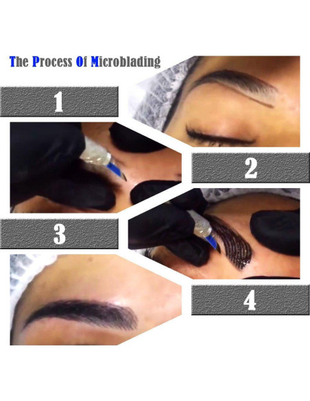 Kit de Microblading de Cejas ATOMUS con 14 Puntas y Pigmento Kit de Microblading de Cejas ATOMUS con 14 Puntas y Pigmento