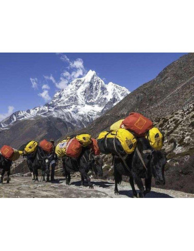 Duffel de Expedición The North Face Base Camp 95L Oro Cumbre