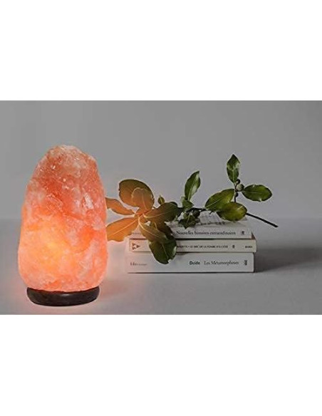Lámpara de Sal del Himalaya Spantik 18 cm Regulable Madera Lámpara de Sal del Himalaya Spantik 18 cm Regulable Madera
