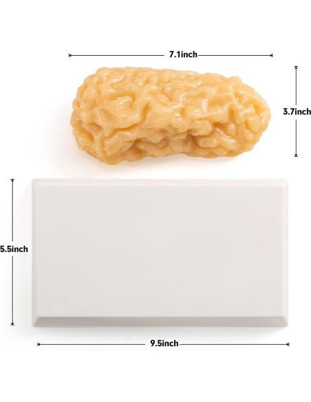 Modelo de Grasa Corporal Humana Ultrassist 0.45 kg Realista Modelo de Grasa Corporal Humana Ultrassist 0.45 kg Realista