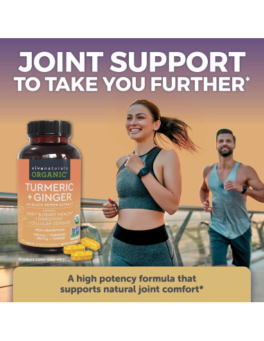 Suplemento Orgánico de Cúrcuma y Jengibre Viva Naturals 90 Cápsulas