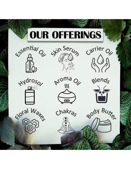 Aceite Esencial Puro de Flor de Tilo 15ml - Deve Herbes Aceite Esencial Puro de Flor de Tilo 15ml - Deve Herbes