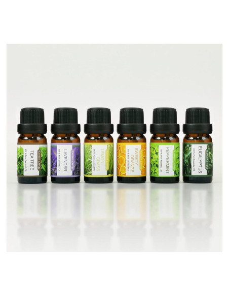 Juego de 6 Aceites Esenciales 100% Naturales Earnest Living Juego de 6 Aceites Esenciales 100% Naturales Earnest Living