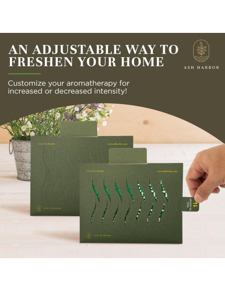 Ambientadores de Aire Ash Harbor - Té Verde Matcha - Paquete de 4 Ambientadores de Aire Ash Harbor - Té Verde Matcha - Paquete de 4