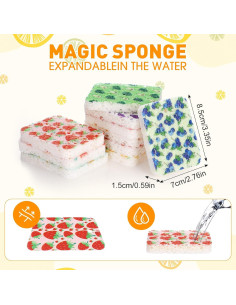 Esponjas de Celulosa Comprimidas Maxdot - 50 Piezas Multicolor 2