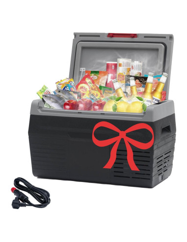 Refrigerador Portátil Techomey HSP-50AY1 20L 12V/24V Negro