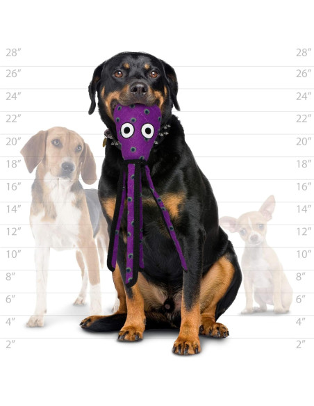 Tuffy Juguetes para Perros Edición Limitada Paquete de 2 Tuffy Juguetes para Perros Edición Limitada Paquete de 2