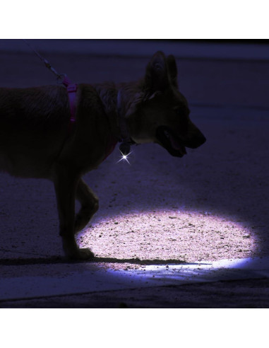 Paquete de 100 Linternas LED Mini RaySoar Multicolor