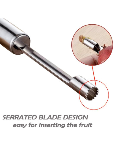 Juego de 4 Descorazonadores SvaTao de Acero Inoxidable