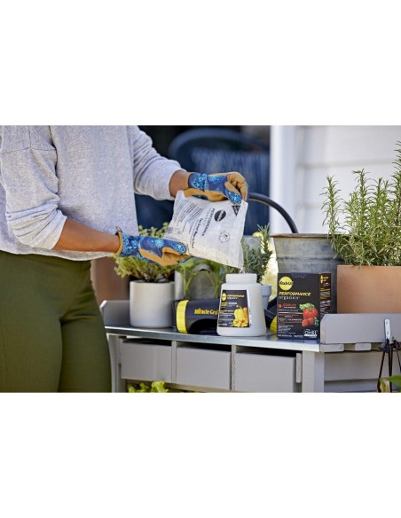Alimento Orgánico para Plantas Miracle-Gro 0.45 kg - Tomates, Verduras, Hierbas y Frutas Alimento Orgánico para Plantas Miracle-Gro 0.45 kg - Tomates, Verduras, Hierbas y Frutas