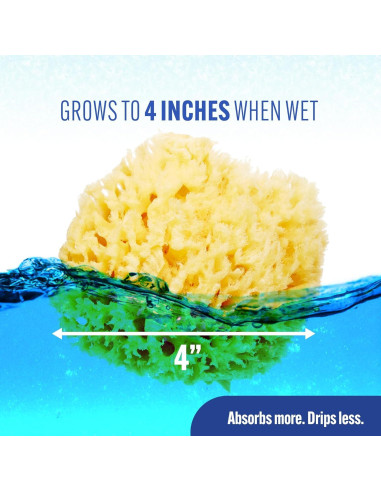 Esponja de Mar Natural Baby Buddy para Bebés - Ultra Suave y Hipoalergénica