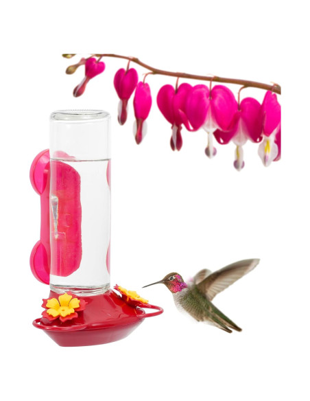 Alimentador de Colibríes de Vidrio Perky-Pet 455-2 414 ml Rojo Alimentador de Colibríes de Vidrio Perky-Pet 455-2 414 ml Rojo