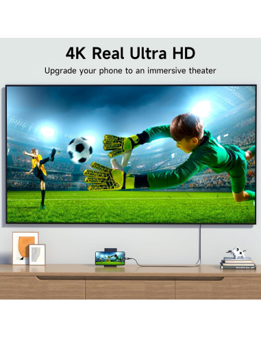 Cable USB C a HDMI 1m Sweguard 4K Alta Velocidad
