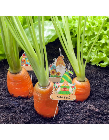 UPINS 24 Etiquetas de Plantas de Gnomos para Jardín Exterior UPINS 24 Etiquetas de Plantas de Gnomos para Jardín Exterior