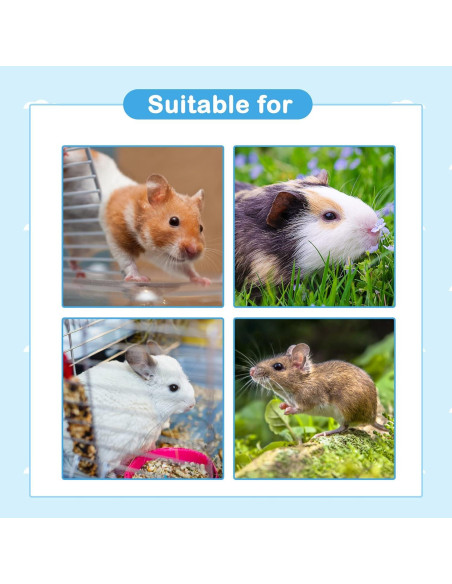 Juguetes de Enriquecimiento para Cobayas MUYG 2 PCS Madera Natural Juguetes de Enriquecimiento para Cobayas MUYG 2 PCS Madera Natural