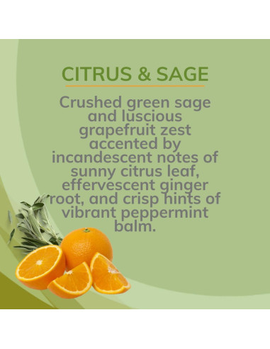 Spray Ambientador Citrus Magic 85g - Cítricos y Salvia, 3 Pzas