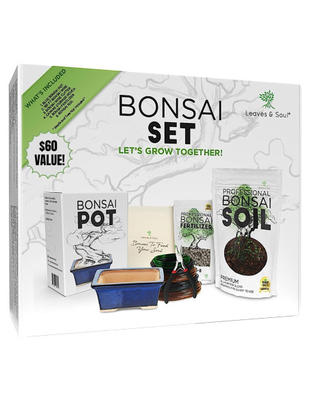 Kit Completo para Bonsai Leaves and Soul - Maceta Azul 30x25cm Kit Completo para Bonsai Leaves and Soul - Maceta Azul 30x25cm