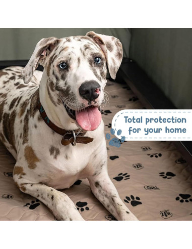 Almohadillas Reutilizables para Perros EZwhelp 42x50cm 2 Pzas