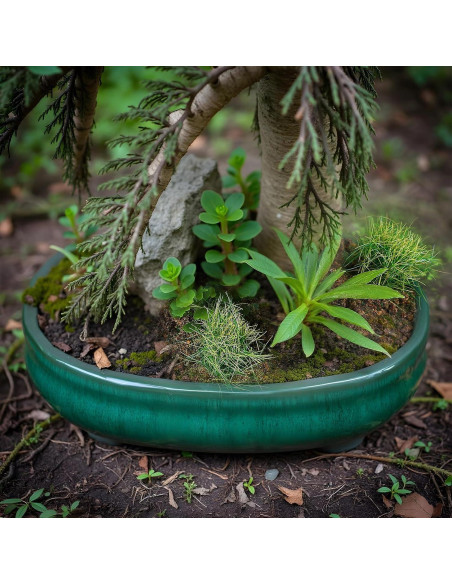20 Piezas Hierba Estática Verde HekouJiub para Dioramas 20 Piezas Hierba Estática Verde HekouJiub para Dioramas