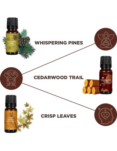 Set de 6 Aceites Esenciales Folkulture 10 ml Otoño