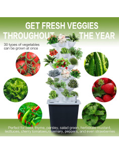 Sistema de Cultivo Hidropónico Interior SINSENMAO 30 Plantas 2