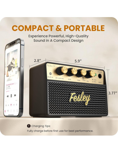 Amplificador de guitarra Fesley FGA10 10W Bluetooth portátil