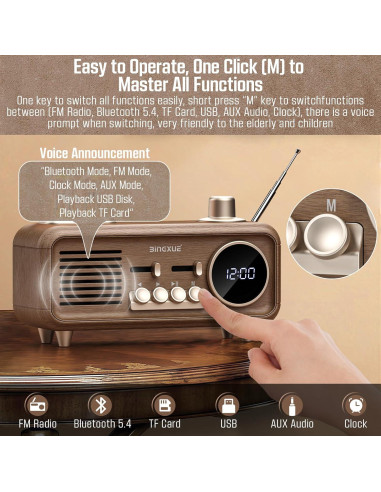 Altavoz Bluetooth Ruihua RH-P260 Retro con Radio FM y USB