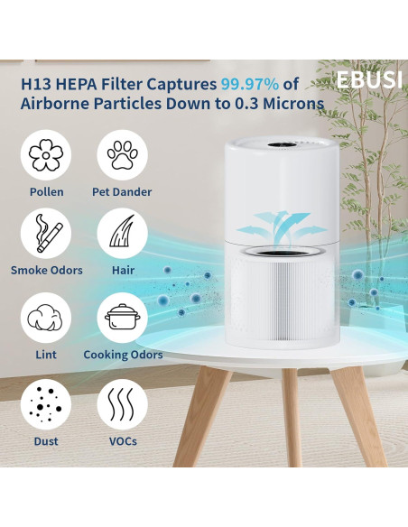 Filtro de Reemplazo EBUSI para Purificador Core 300 HEPA 3-en-1 Filtro de Reemplazo EBUSI para Purificador Core 300 HEPA 3-en-1