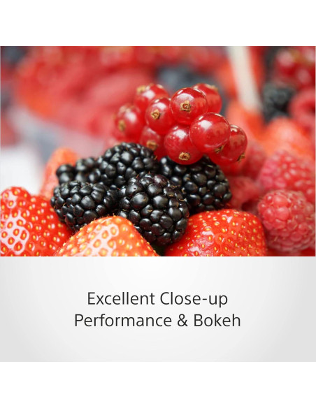 Lente Zoom Sony SEL1670Z 16-70 mm F4 Zeiss APS-C Lente Zoom Sony SEL1670Z 16-70 mm F4 Zeiss APS-C