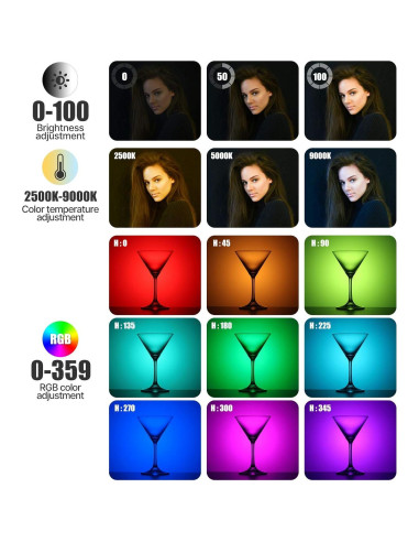 Luz LED ULANZI VL49 RGB para Cámara 360 + Bolsa 10L