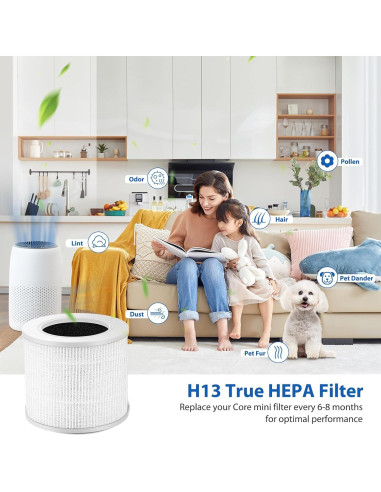 Paquete de 2 Filtros HEPA Colorfullife para Purificador LEVOIT