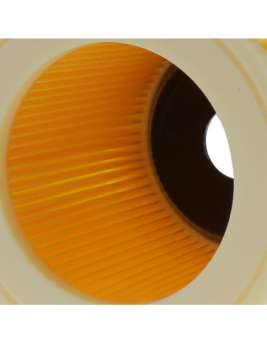 Filtro de Cartucho SING F LTD para Aspiradoras Karcher WD2.200 WD3.500 - 2 Pcs