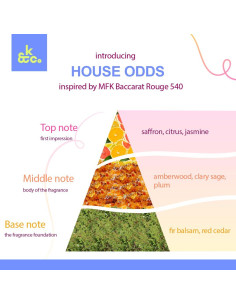 Difusor de Fragancia Klone & Co. House Odds 30ml - Ámbar, Jazmín, Azafrán, Cedro 2