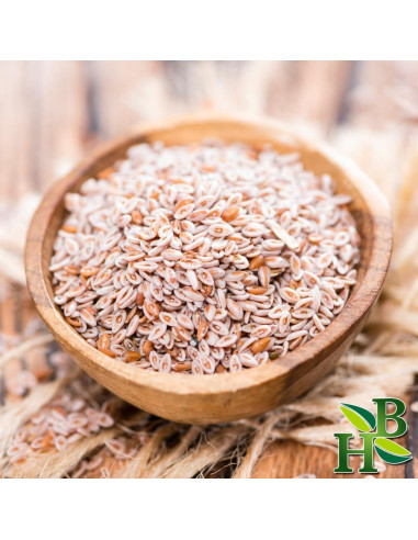 Cápsulas de Cáscara de Psyllium Orgánico 113g - Herb To Body