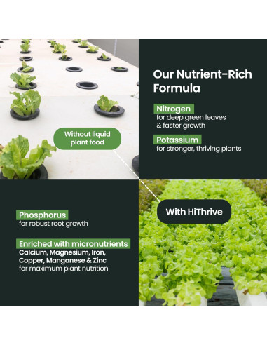 Fertilizante Líquido Hidropónico HiThrive 32 oz - 96 Aplicaciones