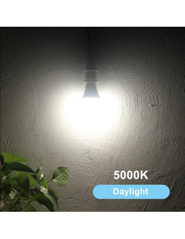 Bombillas LED Dusk to Dawn Qualilux A19 9.5W Luz Diurna Paquete 2