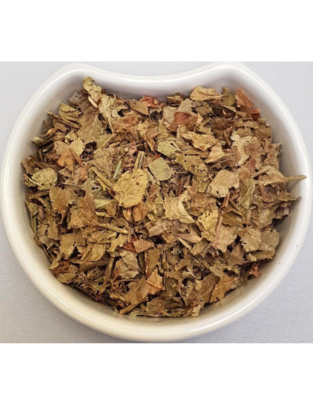 Hoja de Arándano Azul Europea Herba Organica 100g - Té Herbal Hoja de Arándano Azul Europea Herba Organica 100g - Té Herbal