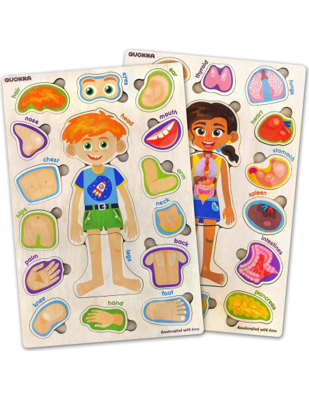 Puzzles Educativos Quokka: Anatomía y Búsqueda para Niños Puzzles Educativos Quokka: Anatomía y Búsqueda para Niños