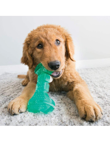 KONG Squeezz Dental Stick - Juguete Dental para Perros Medianos/Grandes