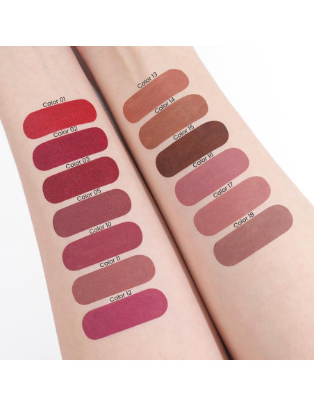 Labial Mate Gradiente evpct Marrón Nude + Lápiz Delineador Labial Mate Gradiente evpct Marrón Nude + Lápiz Delineador