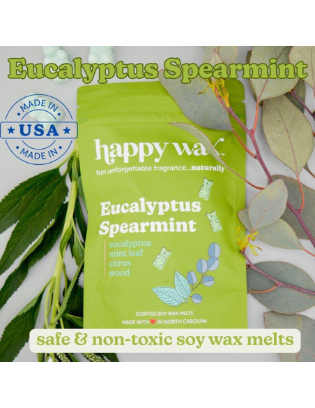 Happy Wax Melts Aromatizados 170g - Cera de Soja Natural Happy Wax Melts Aromatizados 170g - Cera de Soja Natural