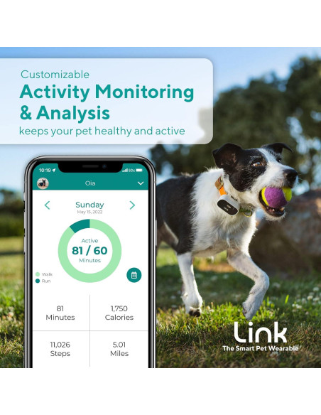 Rastreador GPS para Perros Link My Pet - Salud y Actividad Rastreador GPS para Perros Link My Pet - Salud y Actividad